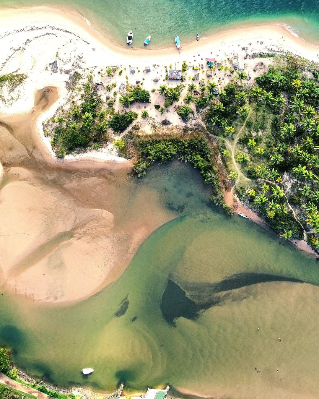 Vista aérea da costa, dos coqueirais e das águas da Península de Maraú
